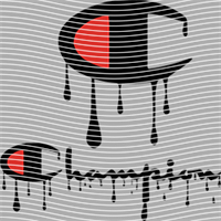 Brand Catalog-ZX 1164